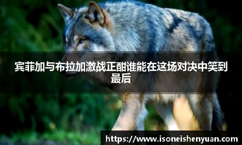 宾菲加与布拉加激战正酣谁能在这场对决中笑到最后